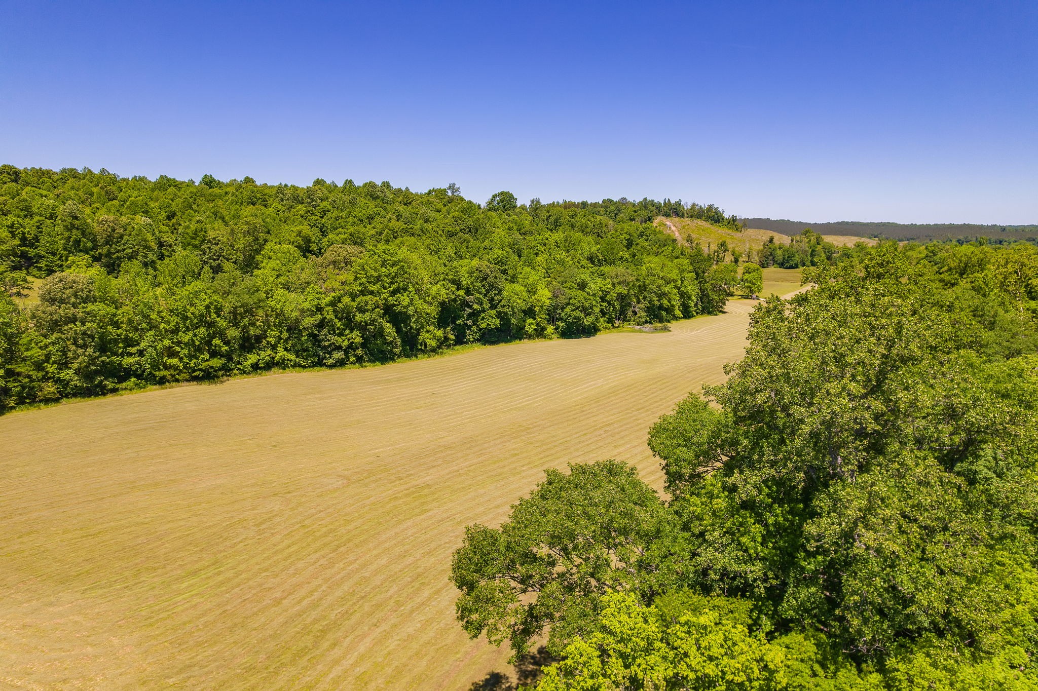 2119 Bunches Chapel Road Parsons, TN 38363 - Photo 2 of 7