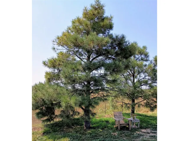 $495,000 | 53647 County Road, Genoa, CO 80818