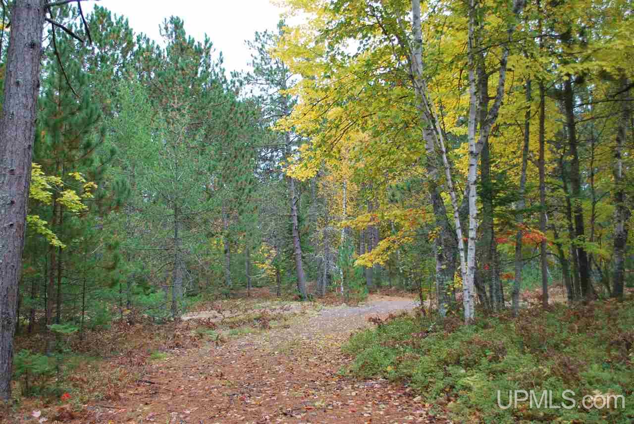 Tbd Little Rice Lake Rd (lot 18), Unit 18 Lake Linden, MI 49945 - Photo 31 of 34