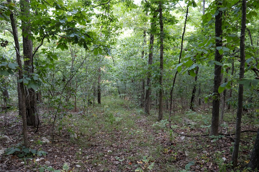 922 Baker Cemetery Road Williford, AR 72482 - Photo 23 of 50 Gallery Image 23