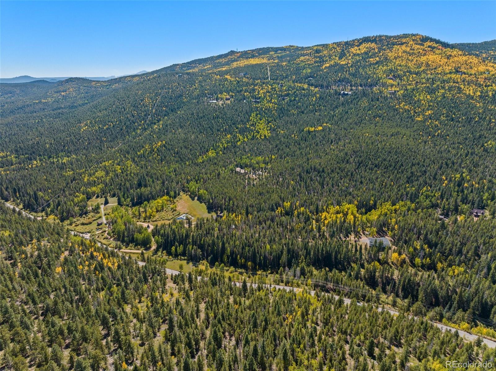 30854 Forest Shadow Trail Conifer, CO 80433 - Photo 13 of 15 a view of a field with a tree in the background