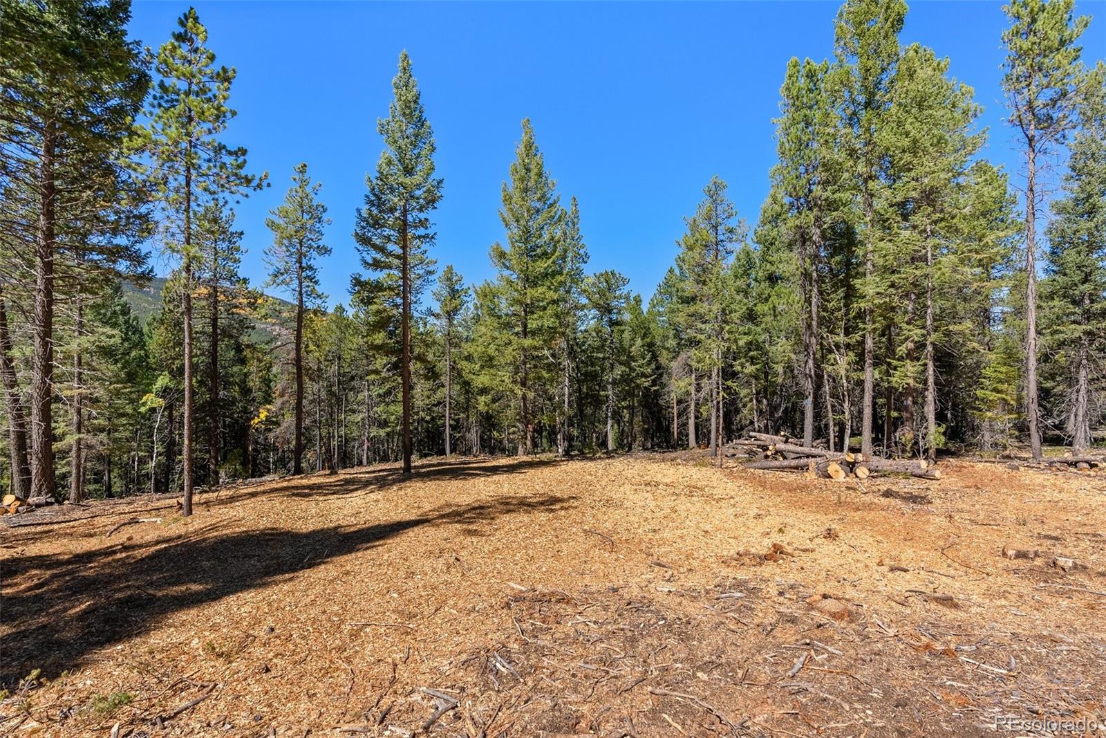 30854 Forest Shadow Trail Conifer, CO 80433 - Photo 3 of 15 a view of road with trees