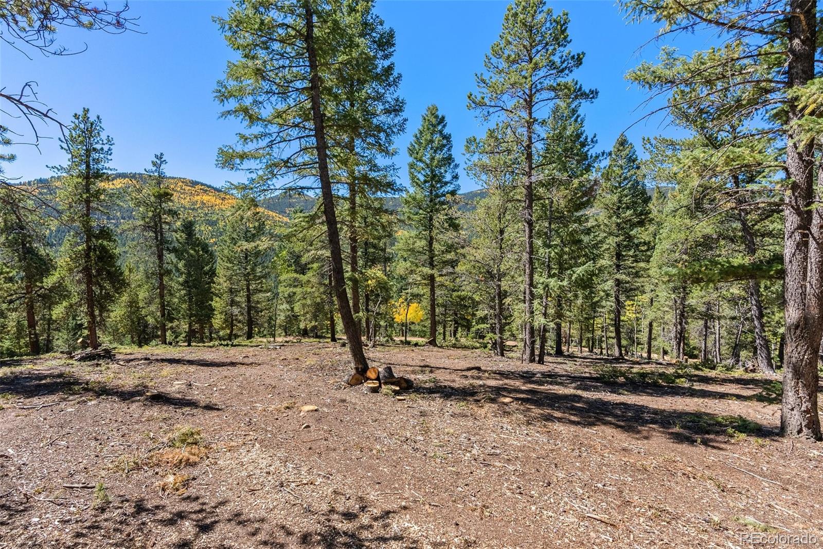 30854 Forest Shadow Trail Conifer, CO 80433 - Photo 8 of 15 a view of park