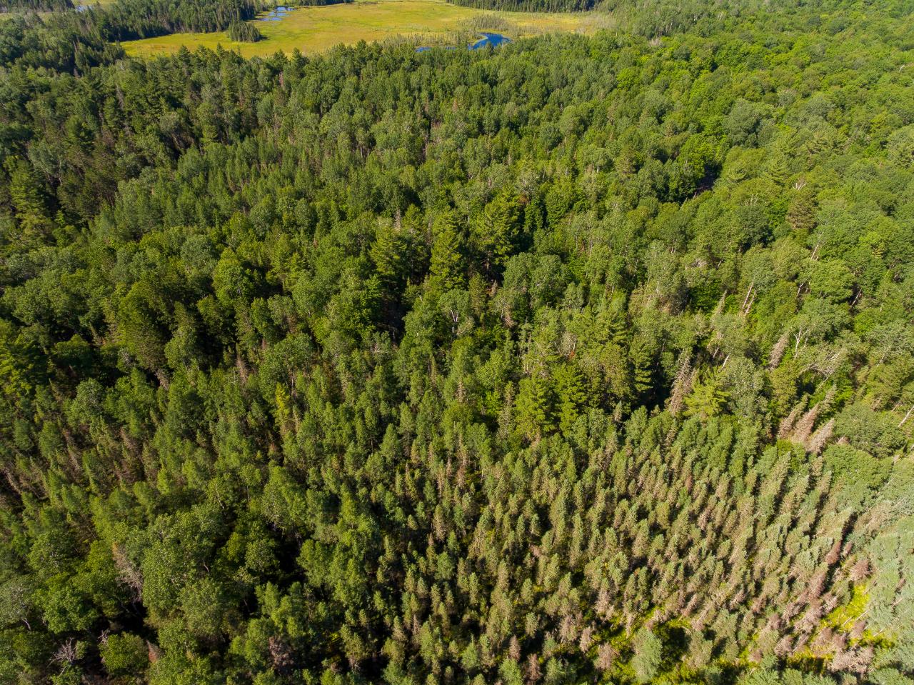 Lot 9 Moonshine Valley Road Presque Isle, WI 54557 - Photo 5 of 19 Gallery Image 5