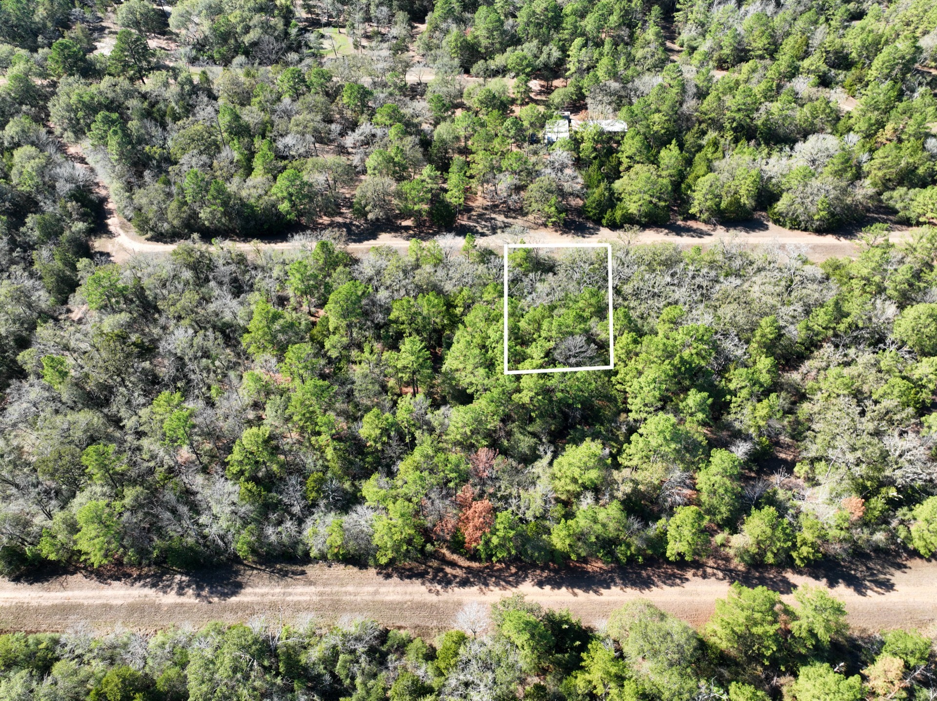 0 Highland Drive Hempstead, TX 77445 - Photo 4 of 6 a view of a lush green forest