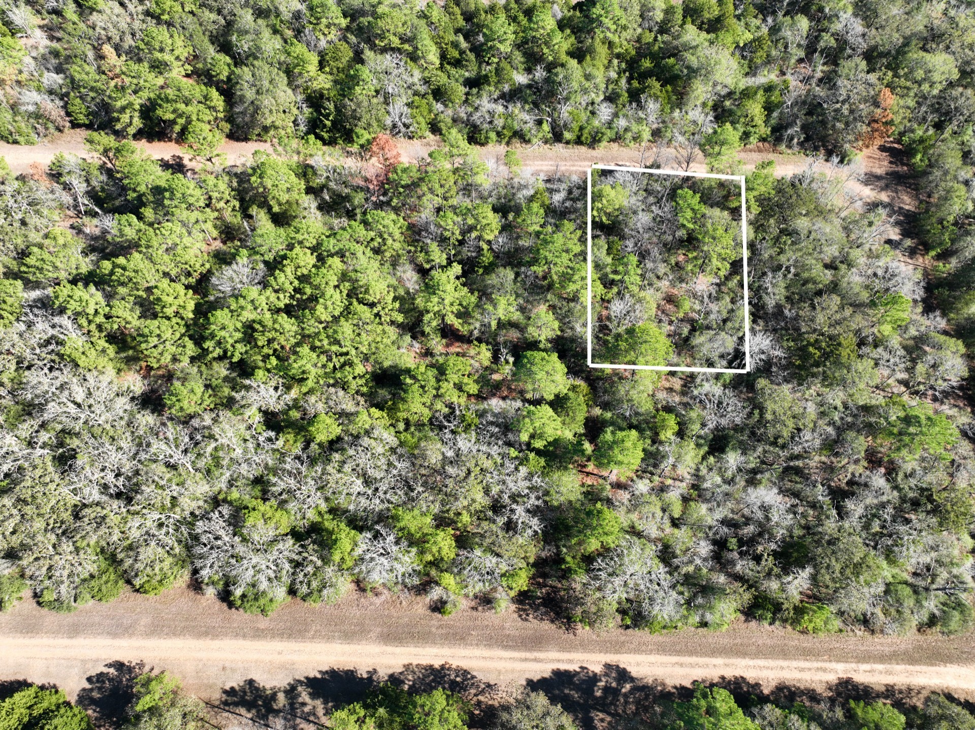 0 Highland Drive Hempstead, TX 77445 - Photo 5 of 6 a view of a large yard with lots of green space