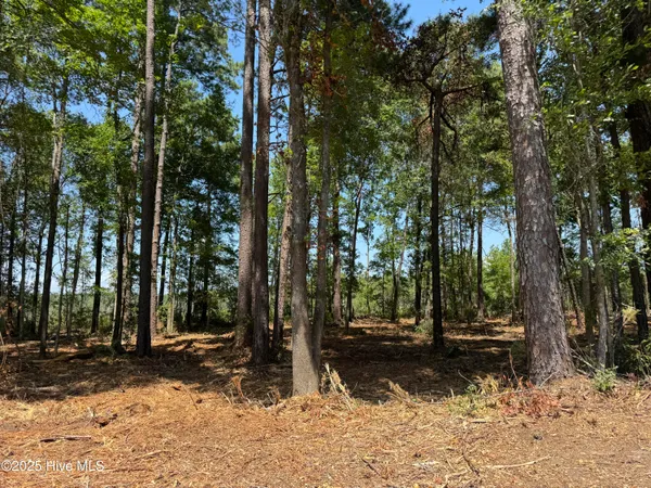 $17,900 | Lot 5 Swamp Fox Highway East, Tabor City, NC 28463