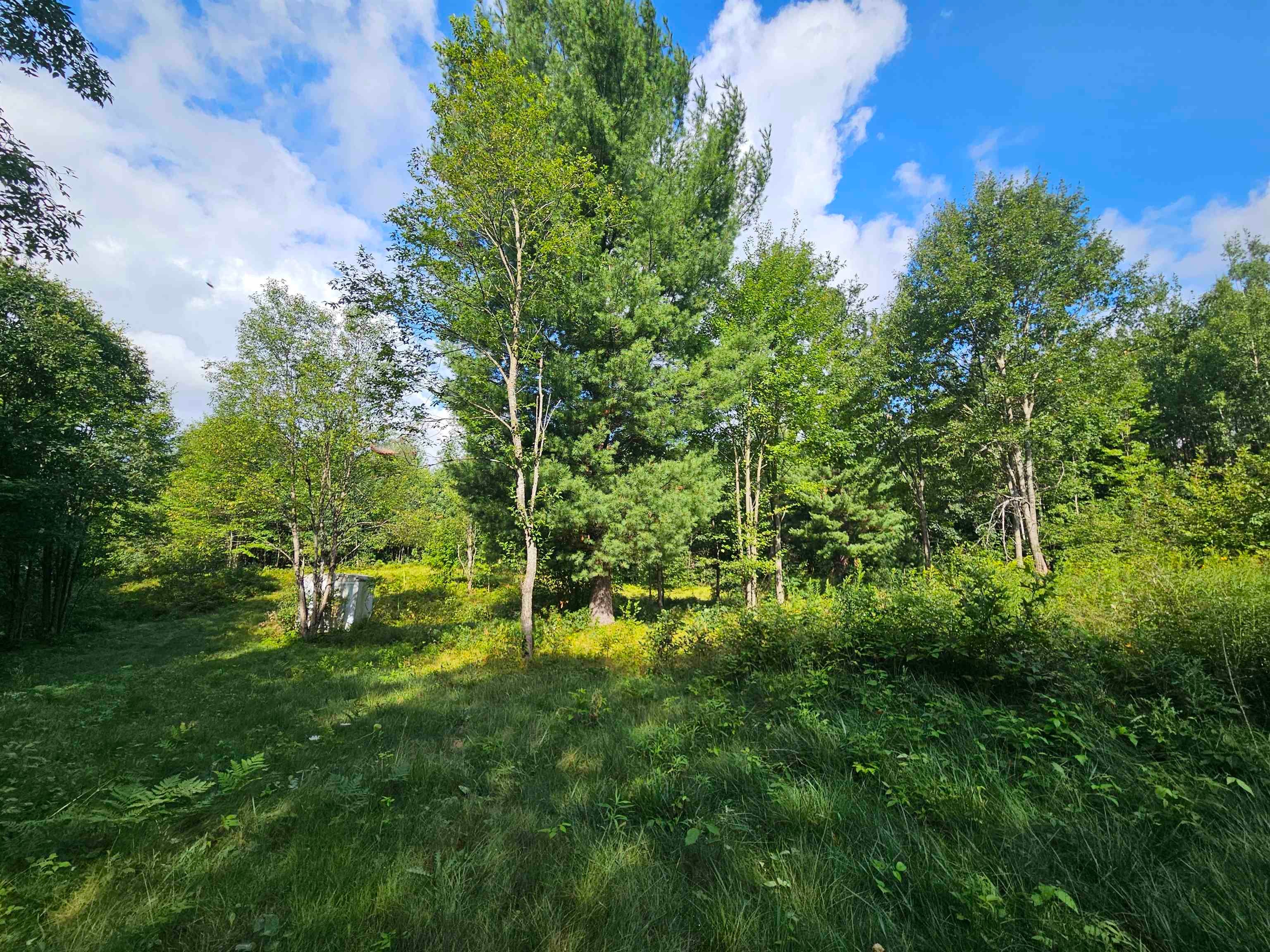 2991 Ridge Road Harrison, MI 48625 - Photo 9 of 23 Gallery Image 9