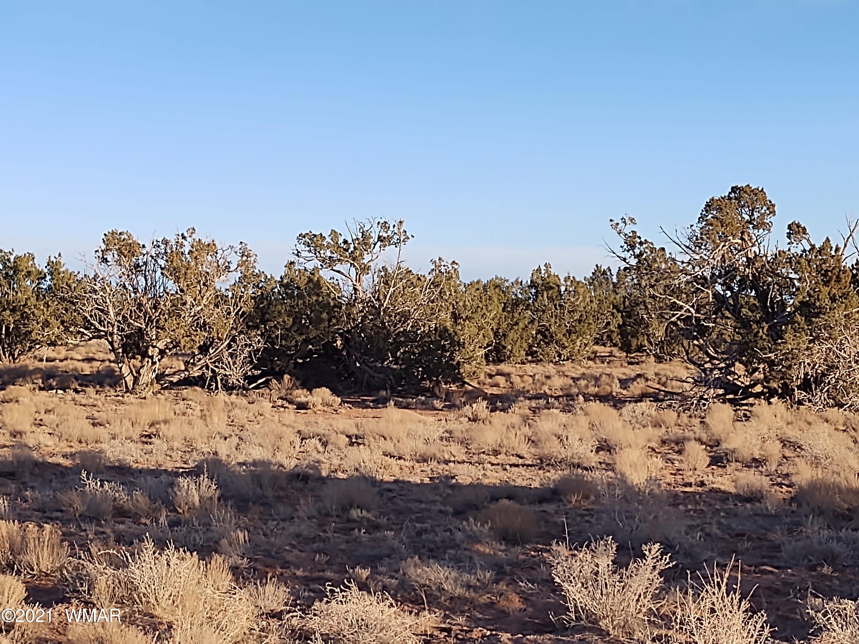 4325 Zeniff Road, Unit 8 Heber, AZ 85928 - Photo 3 of 6 a view of a covered with snow in the background