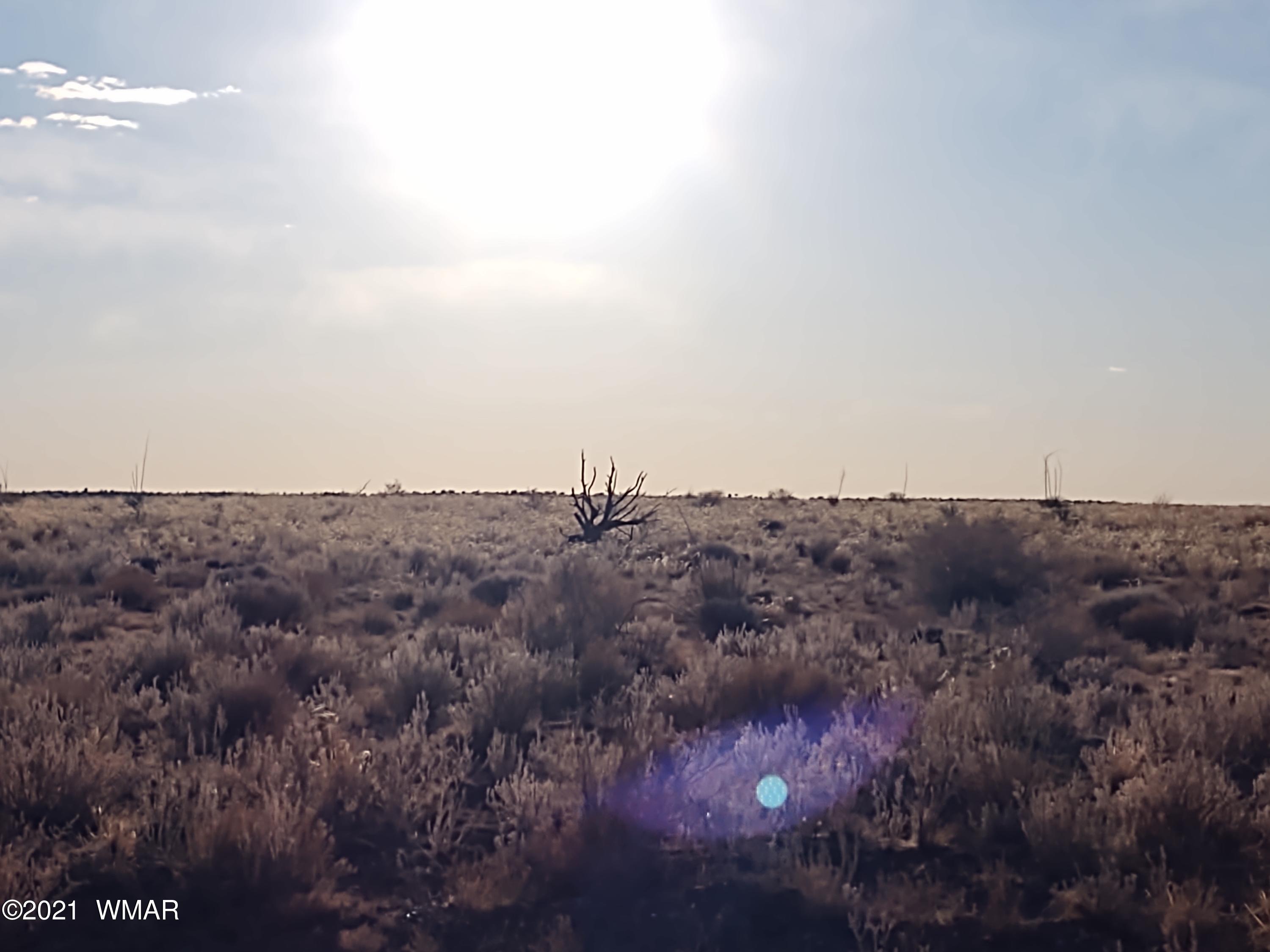 4325 Zeniff Road, Unit 8 Heber, AZ 85928 - Photo 6 of 6 a view of a bunch of trees in a field