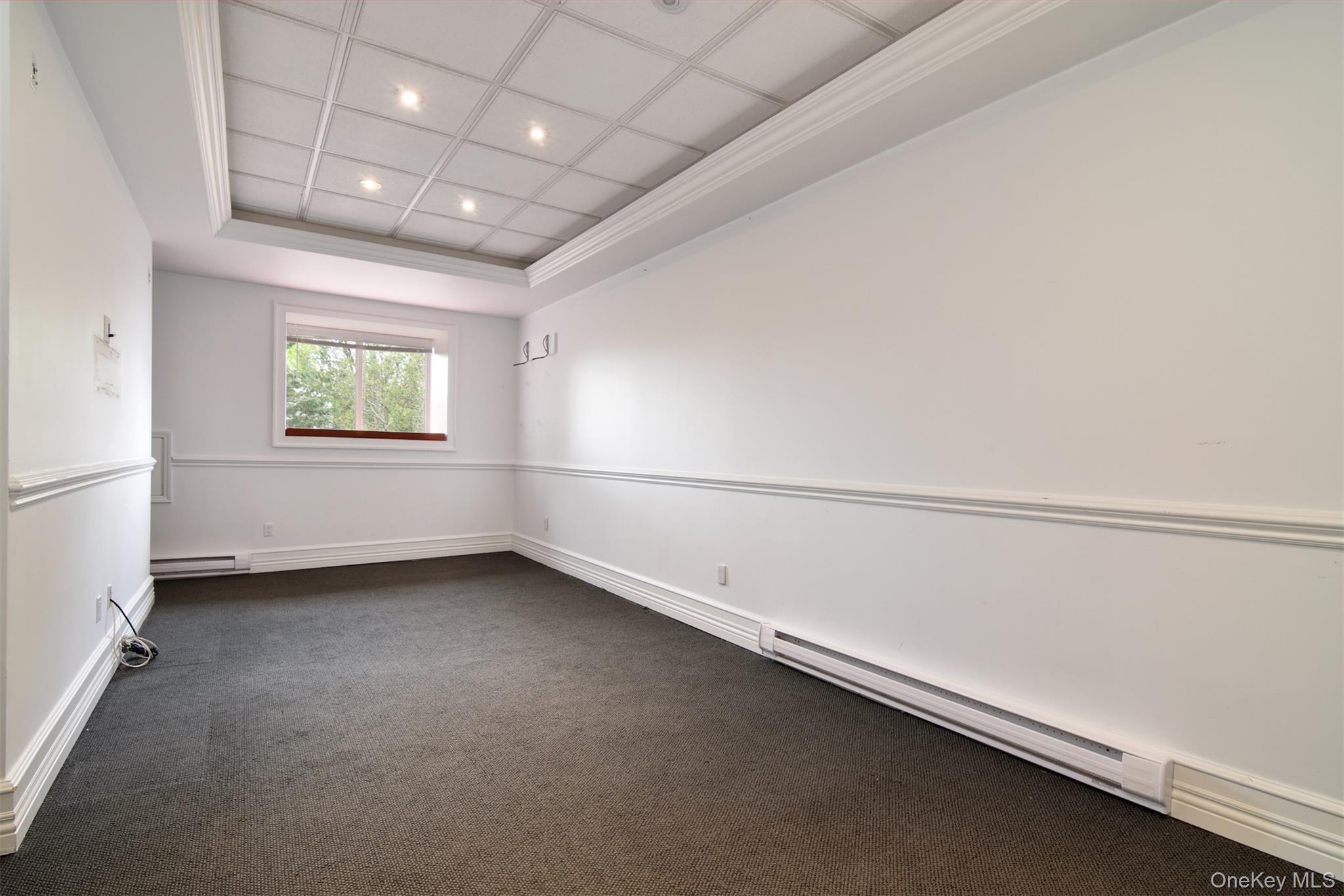 41 Sagamore Road Bronxville, NY 10708 - Photo 28 of 38 Lower level rec room featuring ornamental molding, recessed lighting, a tray ceiling, carpet floors and back door to parking