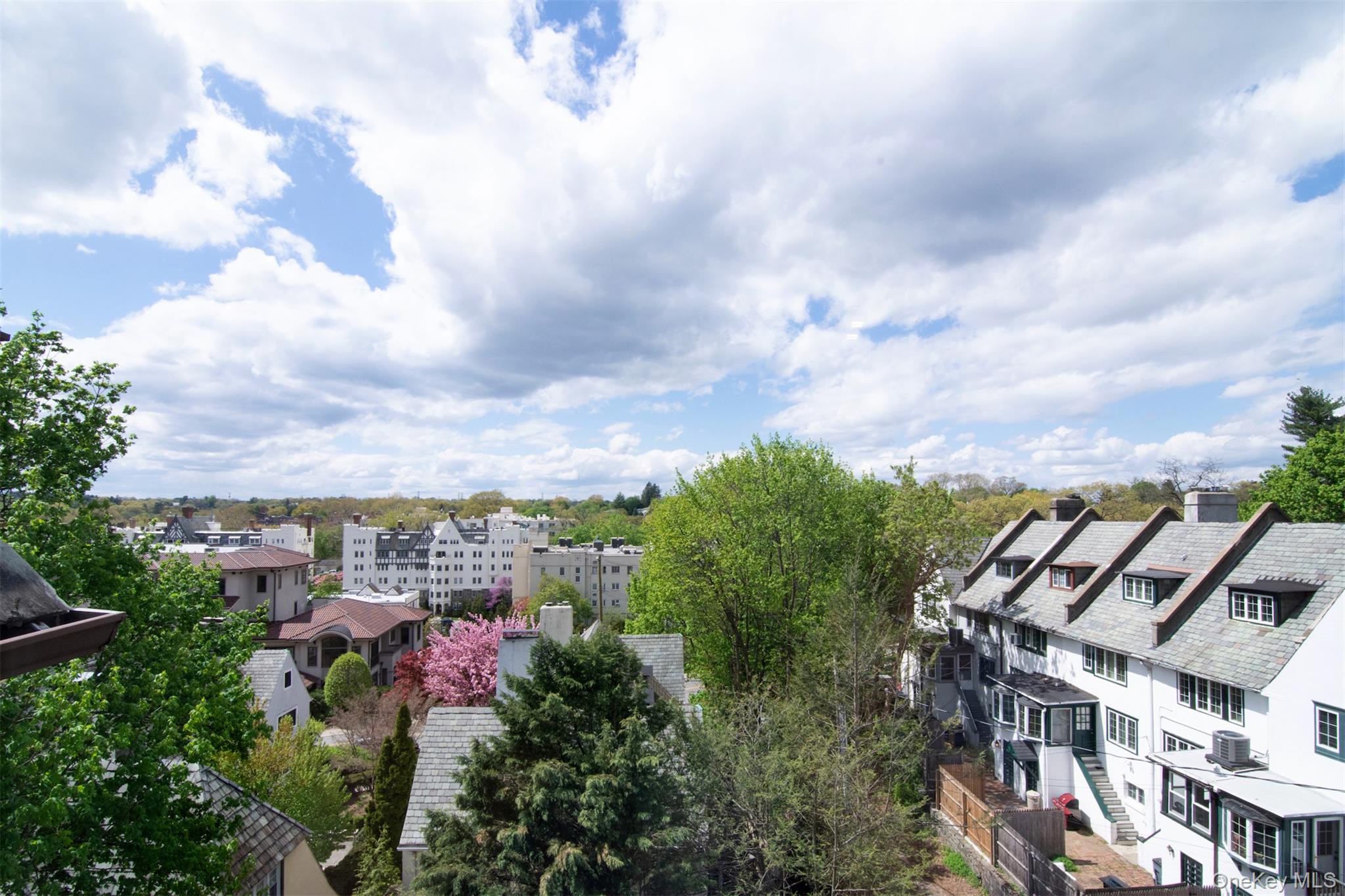 41 Sagamore Road Bronxville, NY 10708 - Photo 33 of 38 View from back of home