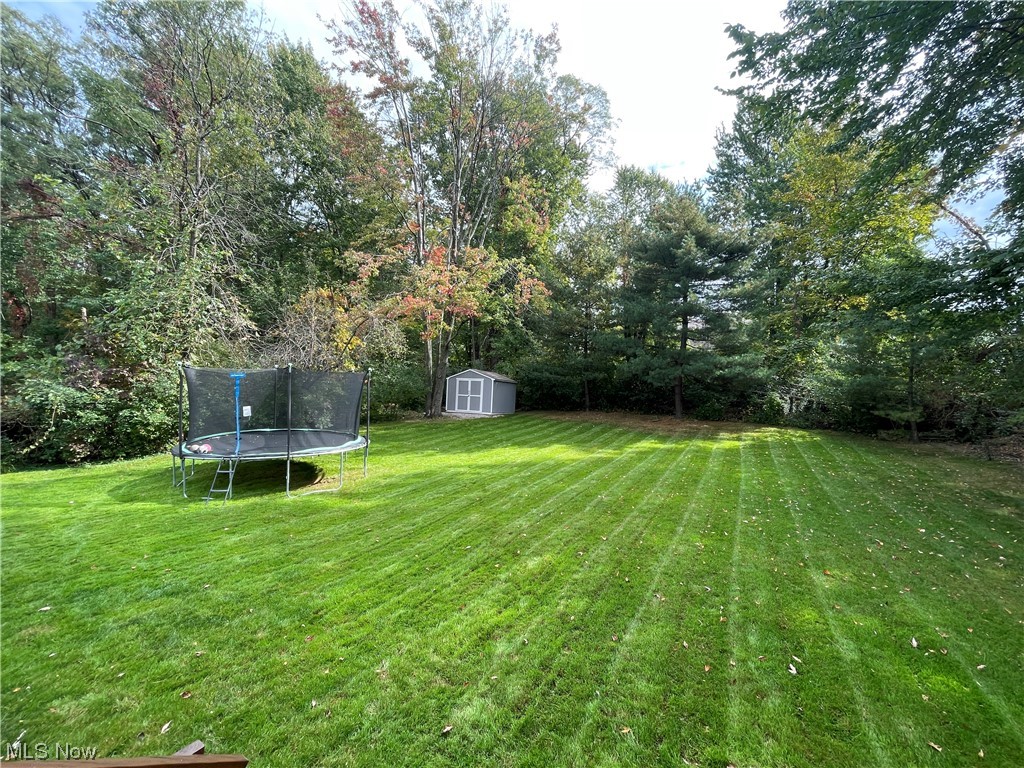 9572 Hoose Road Mentor, OH 44060 - Photo 31 of 35 View of yard featuring a shed
