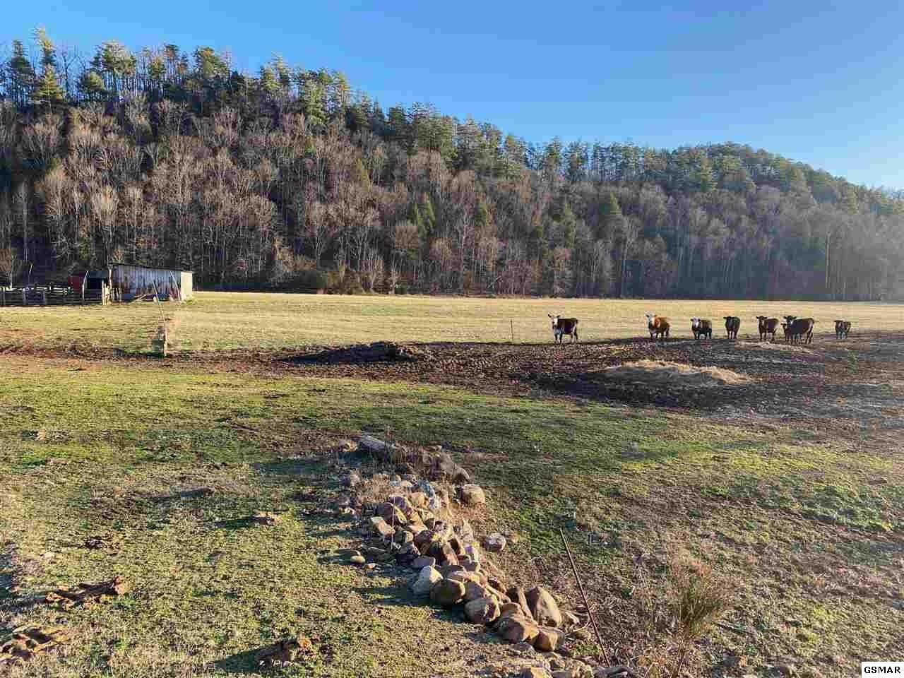 0 Waldens Creek Road Sevierville, TN 37862 - Photo 7 of 8