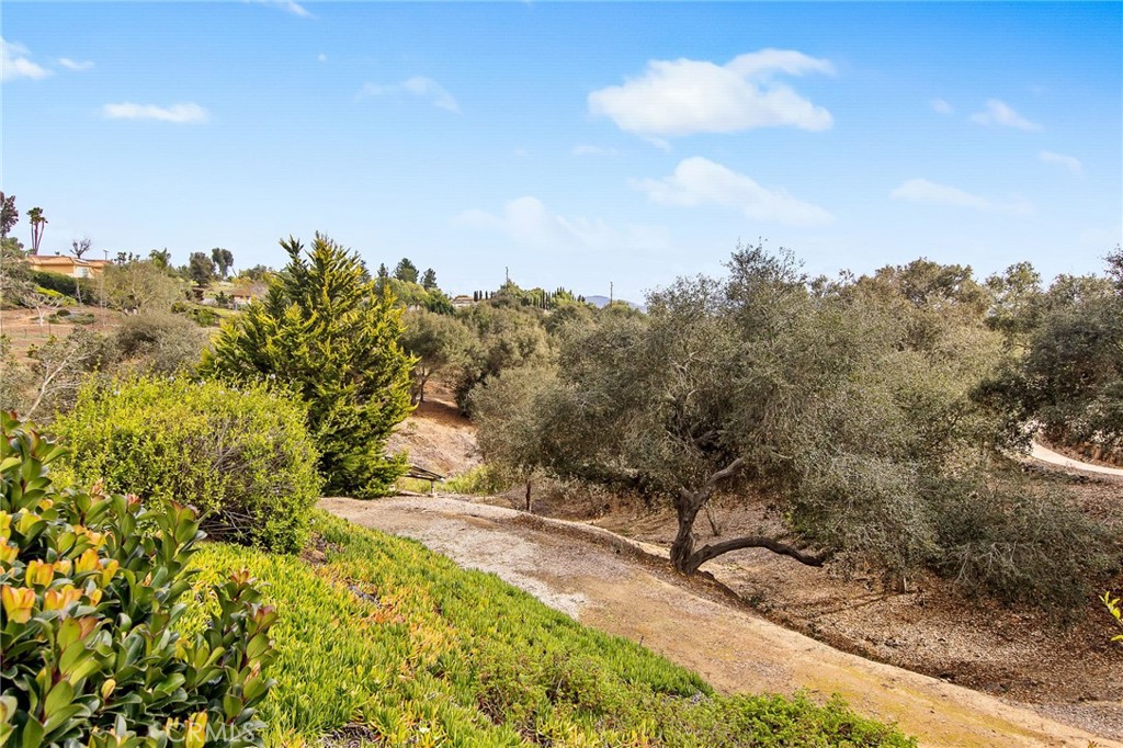 3221 Integrity Fallbrook, CA 92028 - Photo 68 of 74