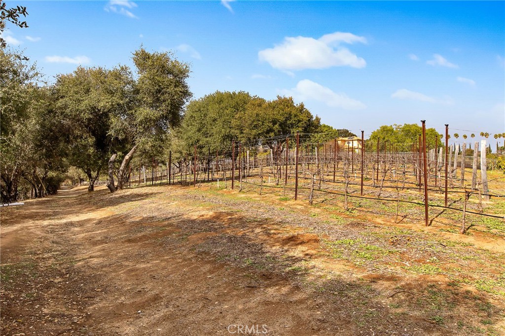 3221 Integrity Fallbrook, CA 92028 - Photo 71 of 74
