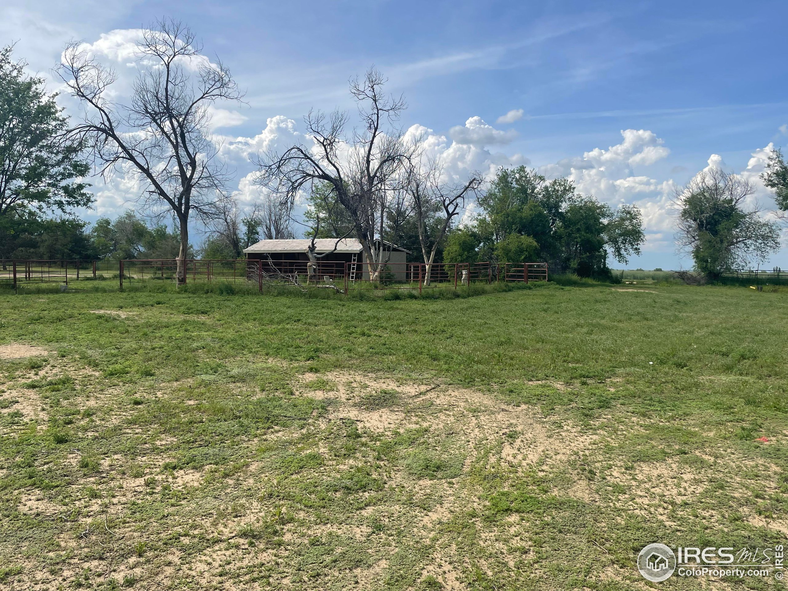 9485 County Road 15 Firestone, CO 80504 - Photo 7 of 15 a view of a field