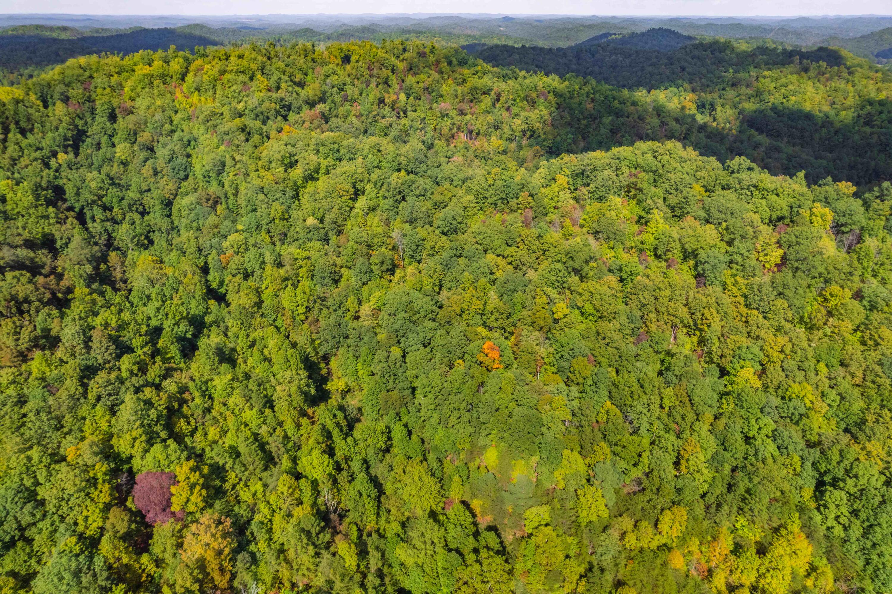 9999 Swafford Branch Cemetery Road Manchester, KY 40962 - Photo 27 of 33 DJI_006526