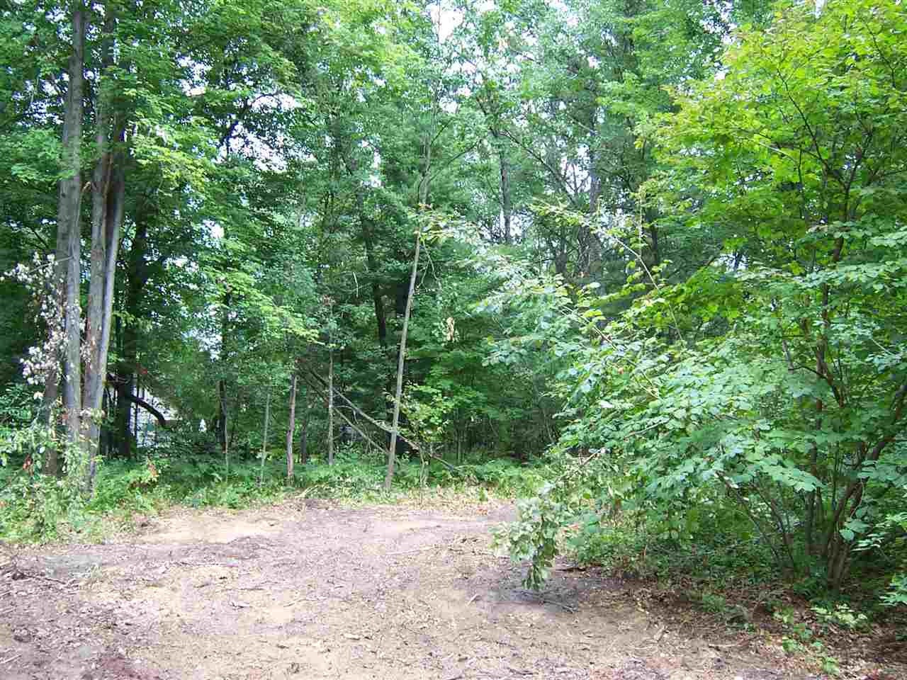 3602 West Lansing Road Roscommon, MI 48653 - Photo 18 of 20 Gallery Image 18