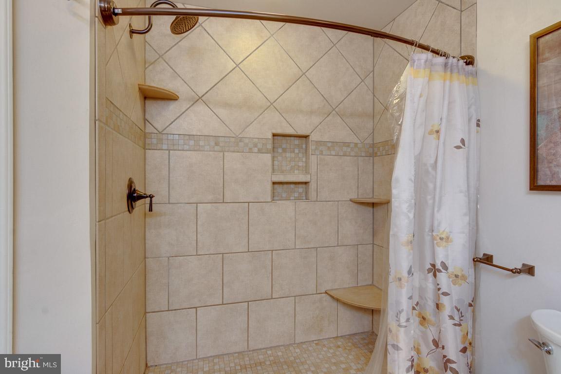 111 Sentry Ridge Smithsburg, MD 21783 - Photo 24 of 35 Custom tiled step-in Master shower