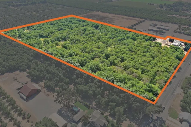 a view of a yard with a plant