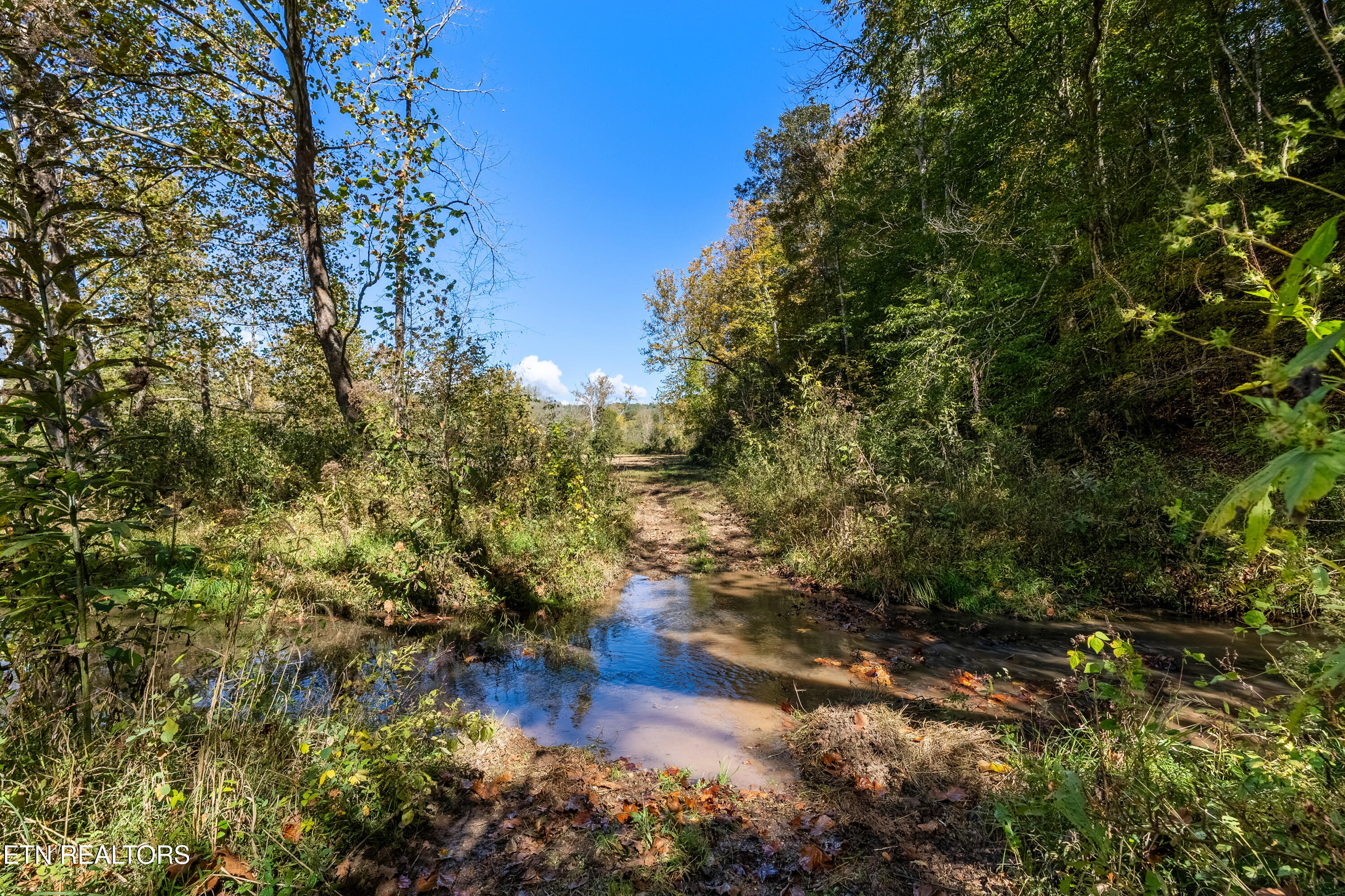 3717 Hickory Valley Road Maynardville, TN 37807 - Photo 38 of 39 DSC01957-HDR_1