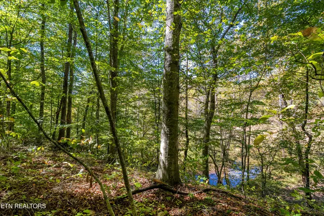 $679,000 | 3717 Hickory Valley Road, Maynardville, TN 37807