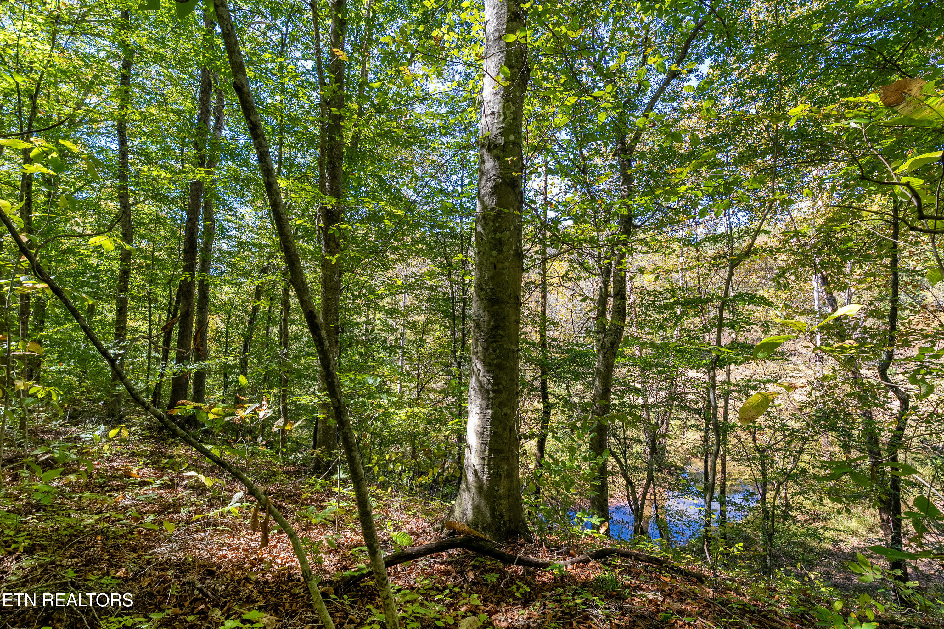 3717 Hickory Valley Road Maynardville, TN 37807 - Photo 39 of 39 DSC01987-HDR_1