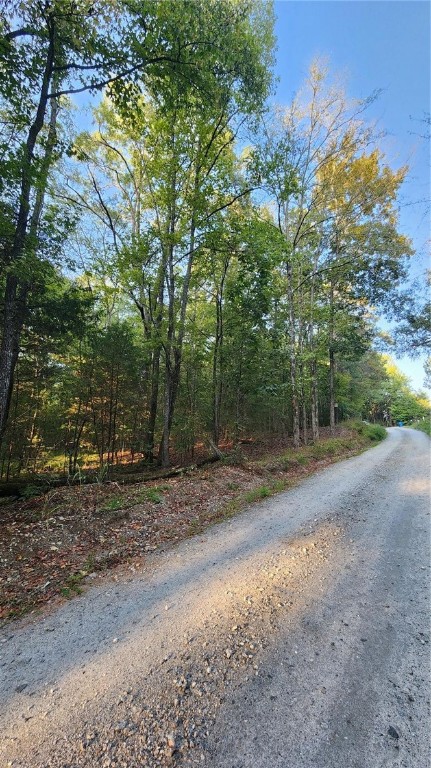 0 Johns Creek Road Hodges, SC 29653 - Photo 2 of 6
