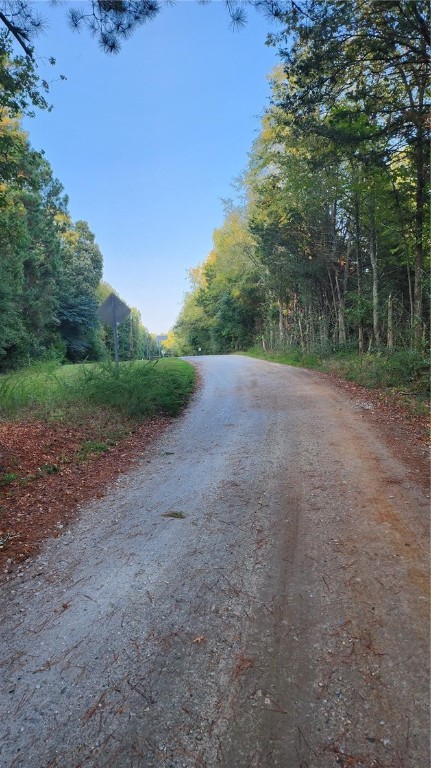 0 Johns Creek Road Hodges, SC 29653 - Photo 3 of 6