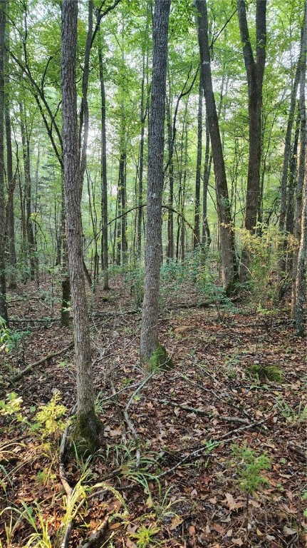 0 Johns Creek Road Hodges, SC 29653 - Photo 5 of 6