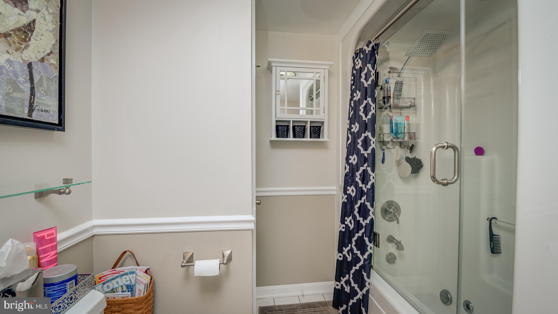 222 Choptank Road Stafford, VA 22556 - Photo 29 of 39 LOWER LEVEL BATH WITH SHOWER/JACUZZI TUB!!!