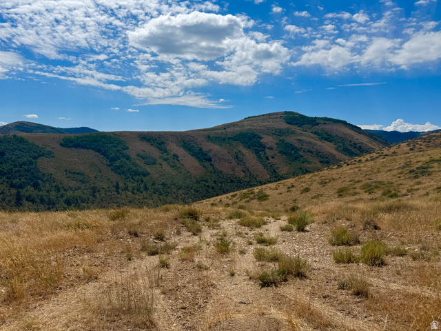 160 Dry Canyon St. Charles, ID 83272 - Photo 44 of 63 Expansive mountainous terrain featuring natural vegetation, distant tree lines, and a vast blue sky with scattered clouds