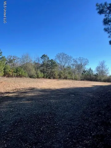 $32,000 | 0 Shivers Booth Road, Newhebron, MS 39140
