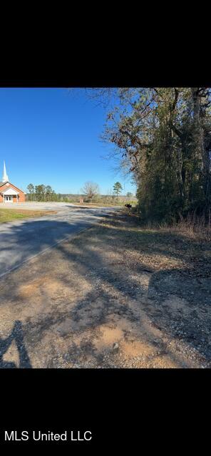 0 Shivers Booth Road Newhebron, MS 39140 - Photo 3 of 6 image4(1)