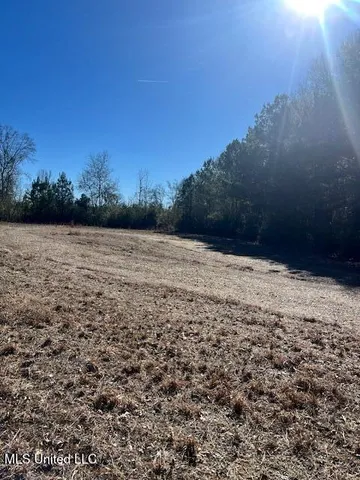 $32,000 | 0 Shivers Booth Road, Newhebron, MS 39140