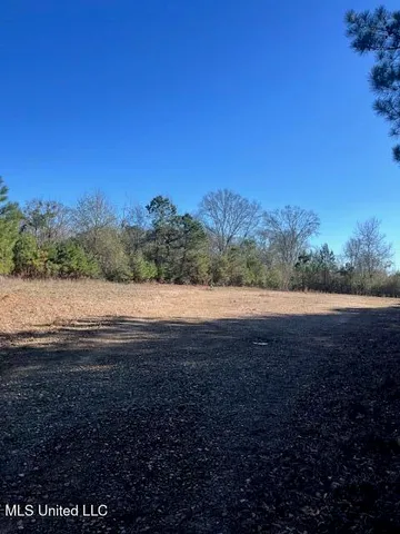 $32,000 | 0 Shivers Booth Road, Newhebron, MS 39140