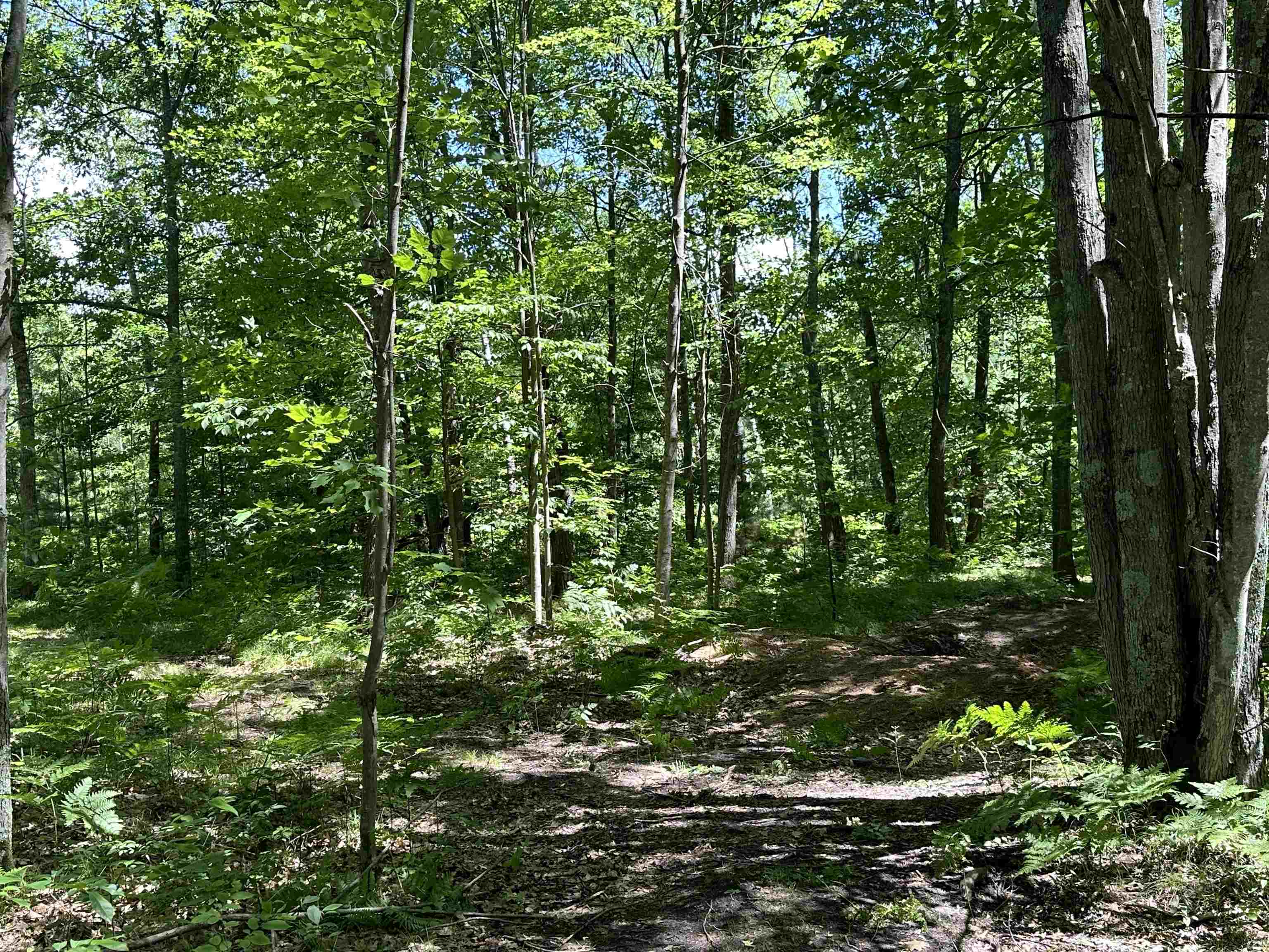 0 North Hodenpyl Dam Road Mesick, MI 49668 - Photo 9 of 11