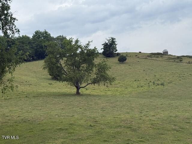 Tbd South Summer Sound Road Piney Flats, TN 37686 - Photo 15 of 22 IMG_8047