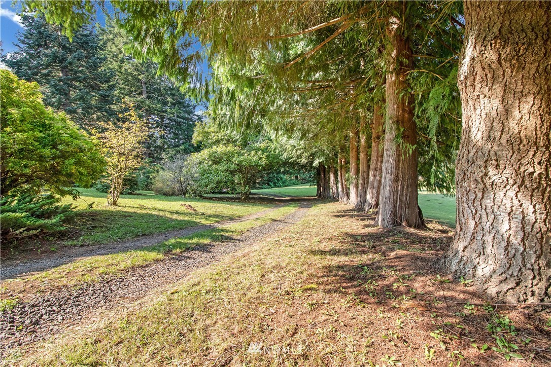150-30 Boyd Road Mossyrock, WA 98564 - Photo 36 of 38 Gallery Image 36