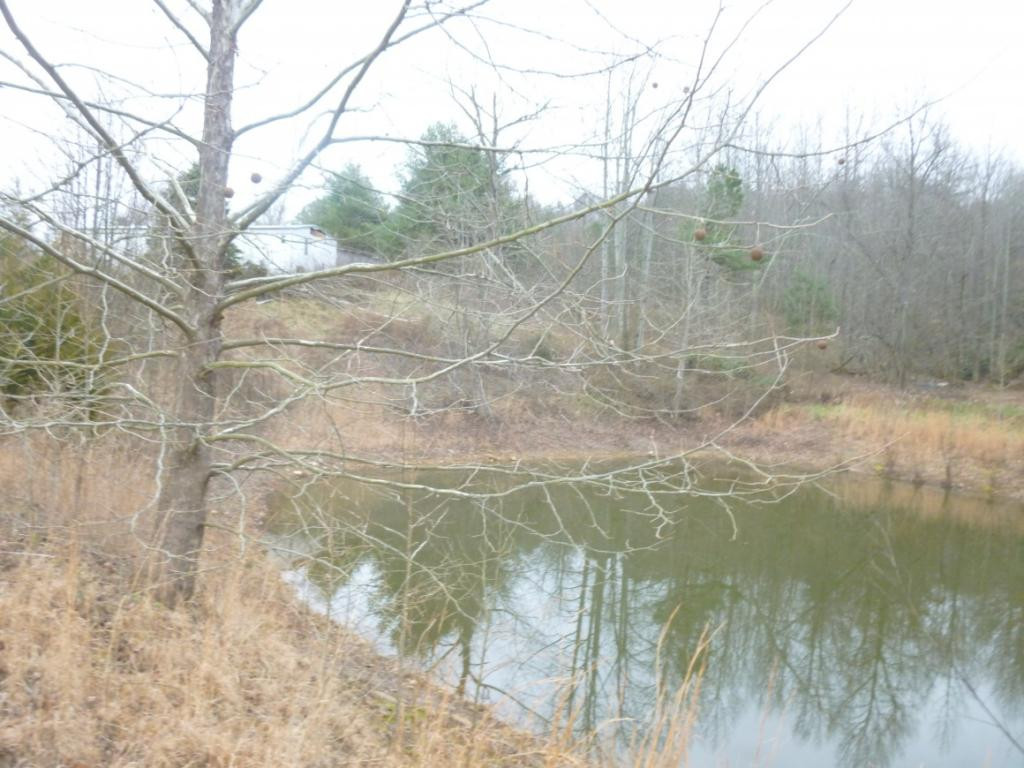 412 Cannon Loop Chuckey, TN 37641 - Photo 14 of 32 Photo 14