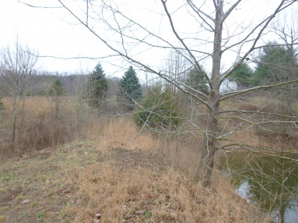 412 Cannon Loop Chuckey, TN 37641 - Photo 15 of 32 Photo 15
