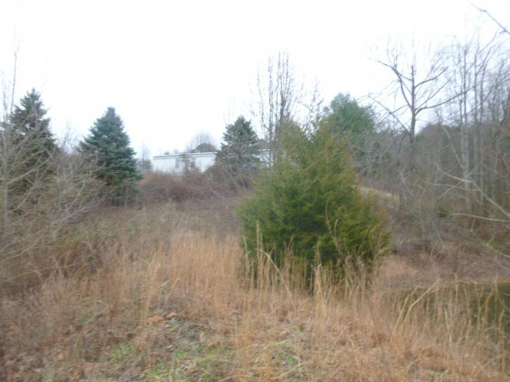 412 Cannon Loop Chuckey, TN 37641 - Photo 17 of 32 Photo 17