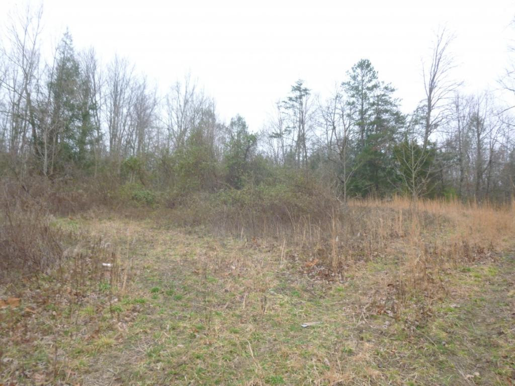 412 Cannon Loop Chuckey, TN 37641 - Photo 19 of 32 Photo 19