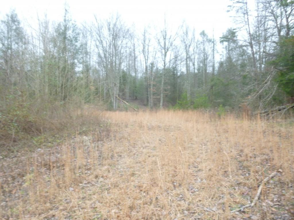 412 Cannon Loop Chuckey, TN 37641 - Photo 20 of 32 Photo 20