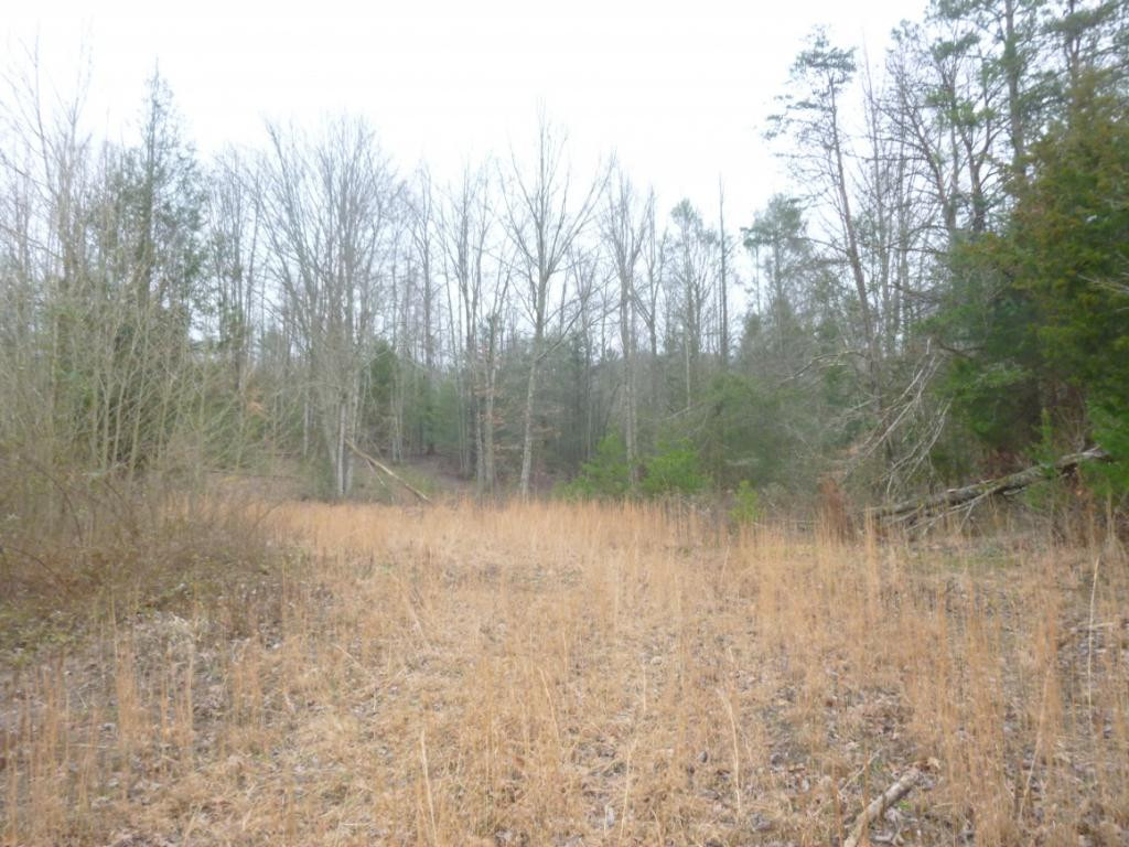 412 Cannon Loop Chuckey, TN 37641 - Photo 23 of 32 Photo 23