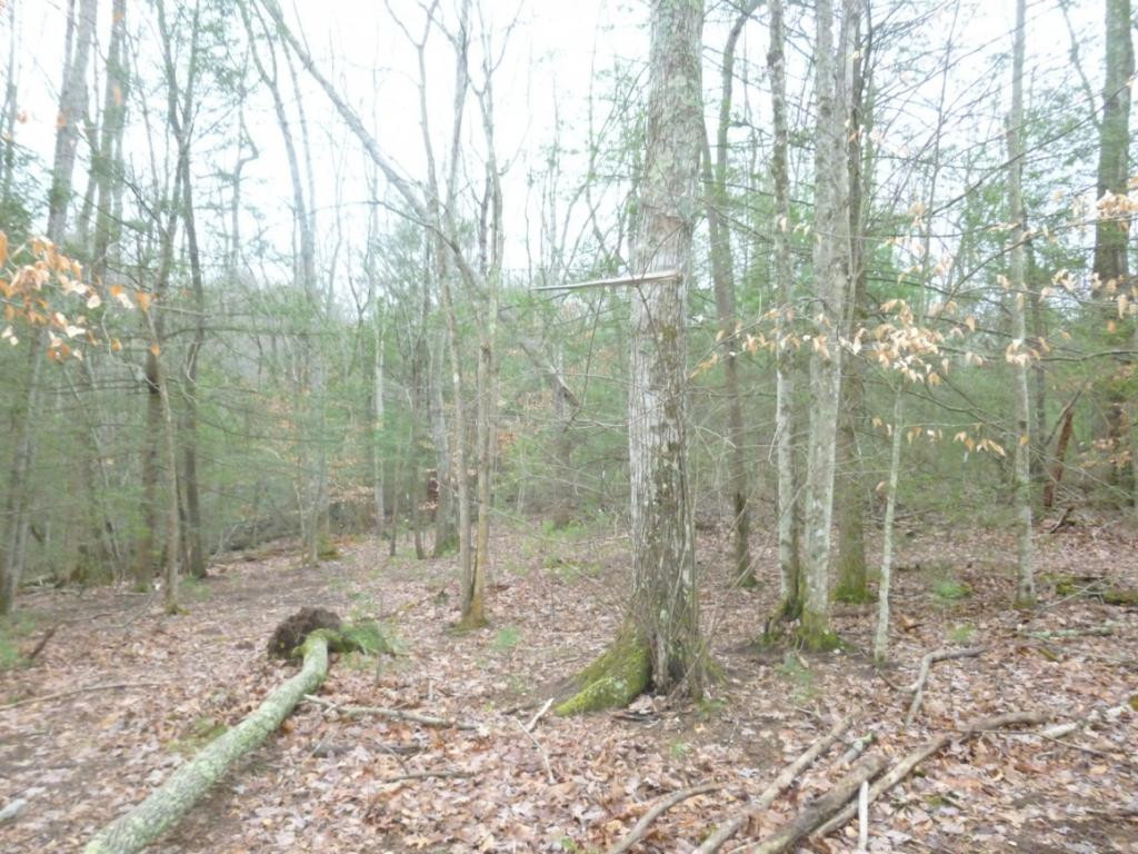 412 Cannon Loop Chuckey, TN 37641 - Photo 27 of 32 Photo 27