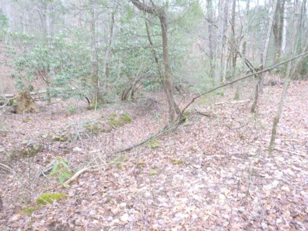 412 Cannon Loop Chuckey, TN 37641 - Photo 29 of 32 Photo 29