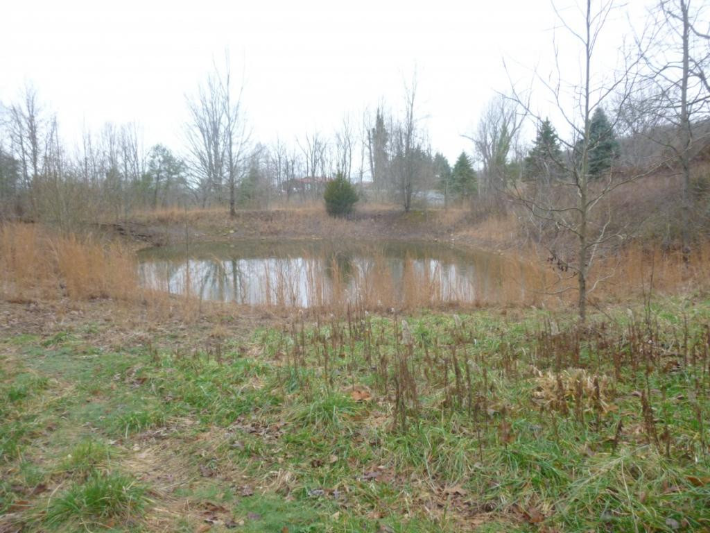 412 Cannon Loop Chuckey, TN 37641 - Photo 31 of 32 Photo 31