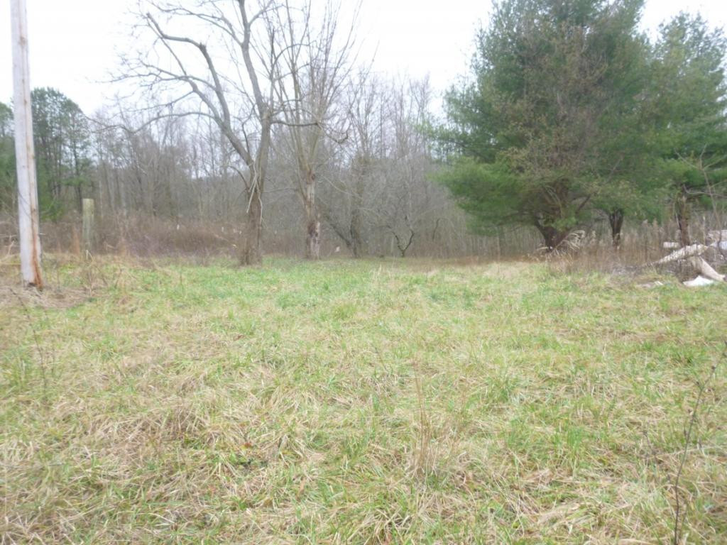 412 Cannon Loop Chuckey, TN 37641 - Photo 4 of 32 Photo 4